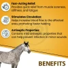 Absorbine Sore Muscle & Joint Pain Relief Veterinary Liniment Gel for Horses 12-oz