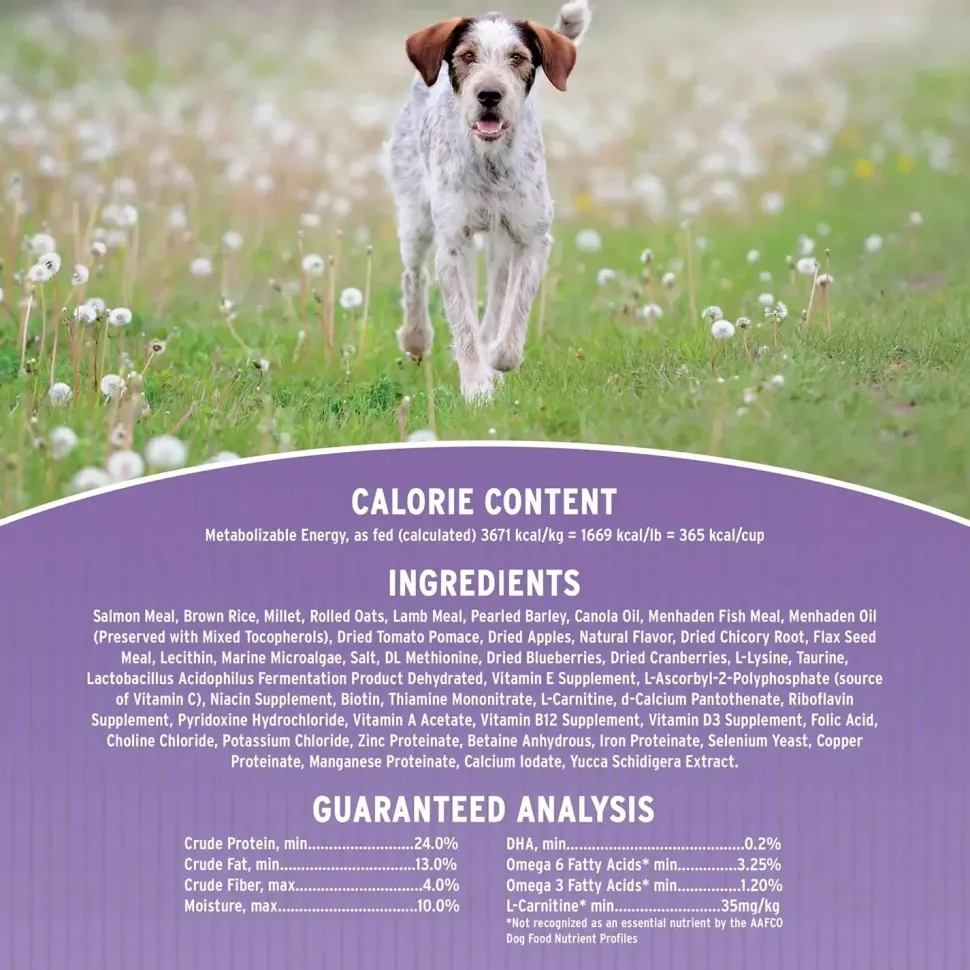 Annamaet Original Option Dry Dog Food Salmon Meal & Brown Rice Formula 5-lb