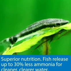 API Algae Eater Premium Sinking Wafer Fish Food 6.4-oz