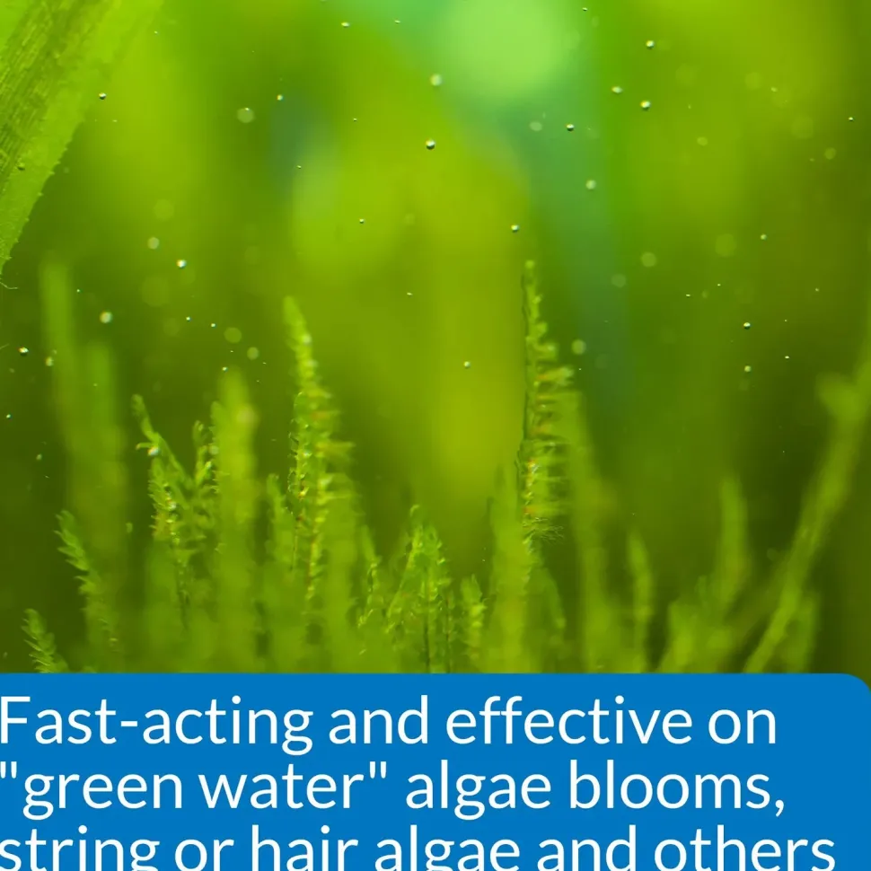 API AlgaeFix Freshwater Aquarium Algaecide 1.25-oz