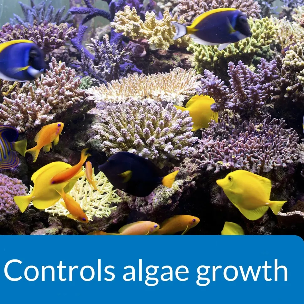 API AlgaeFix Marine Aquarium Algaecide 16-oz