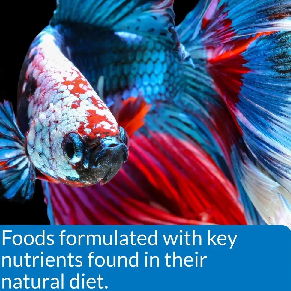API Betta Floating Pellets Fish Food 1-oz