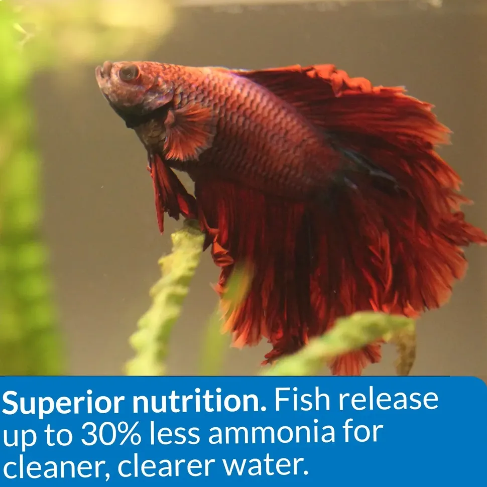 API Betta Floating Pellets Fish Food 1-oz