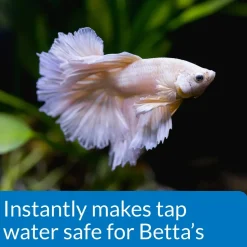 API Betta Water Conditioner 1.7-oz