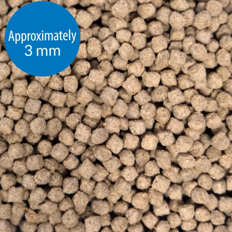 API Bottom Feeder Pellets with Squid Fish Food 1.3-oz