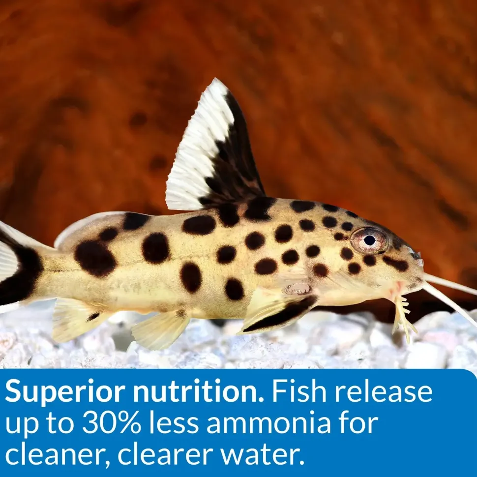 API Bottom Feeder Pellets with Squid Fish Food 4-oz