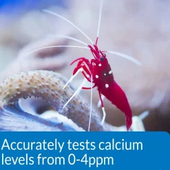 API Calcium Saltwater Aquarium Test Kit