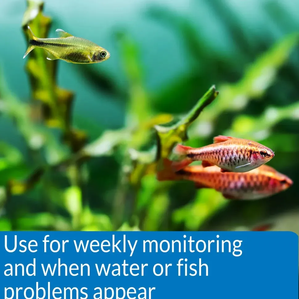 API Freshwater Aquarium Master Test Kit