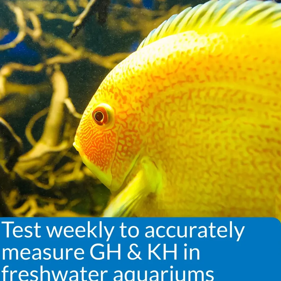 API GH & KH General & Carbonate Hardness Freshwater Aquarium Test Kit