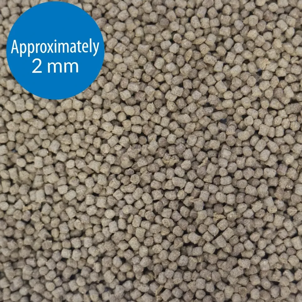 API Goldfish Premium Sinking Pellets Fish Food 7-oz
