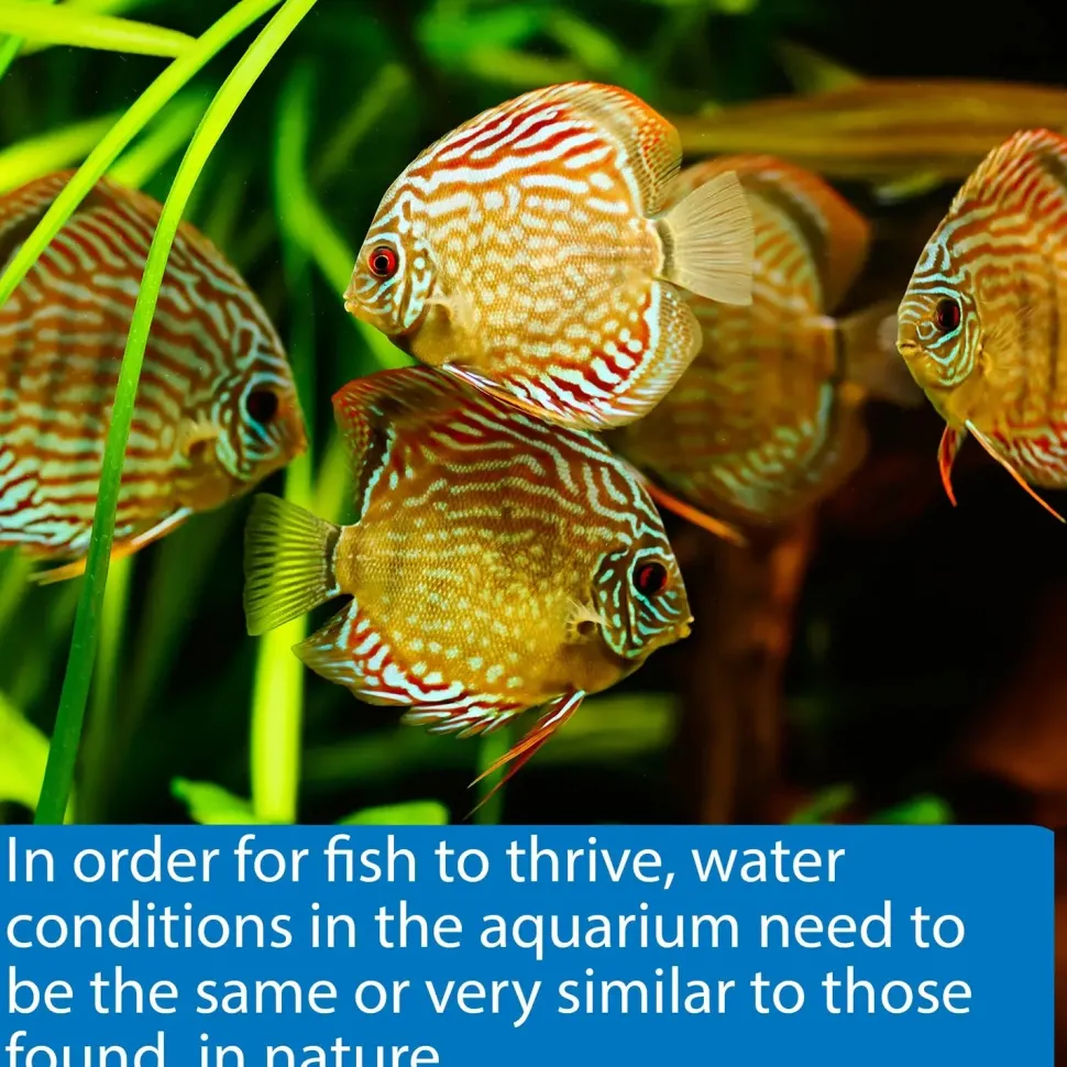 API 5-in-1 Freshwater Aquarium Test Strip 4 Count