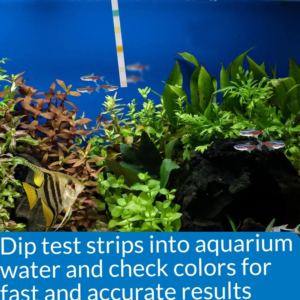 API 5-in-1 Freshwater Aquarium Test Strip 100 Count
