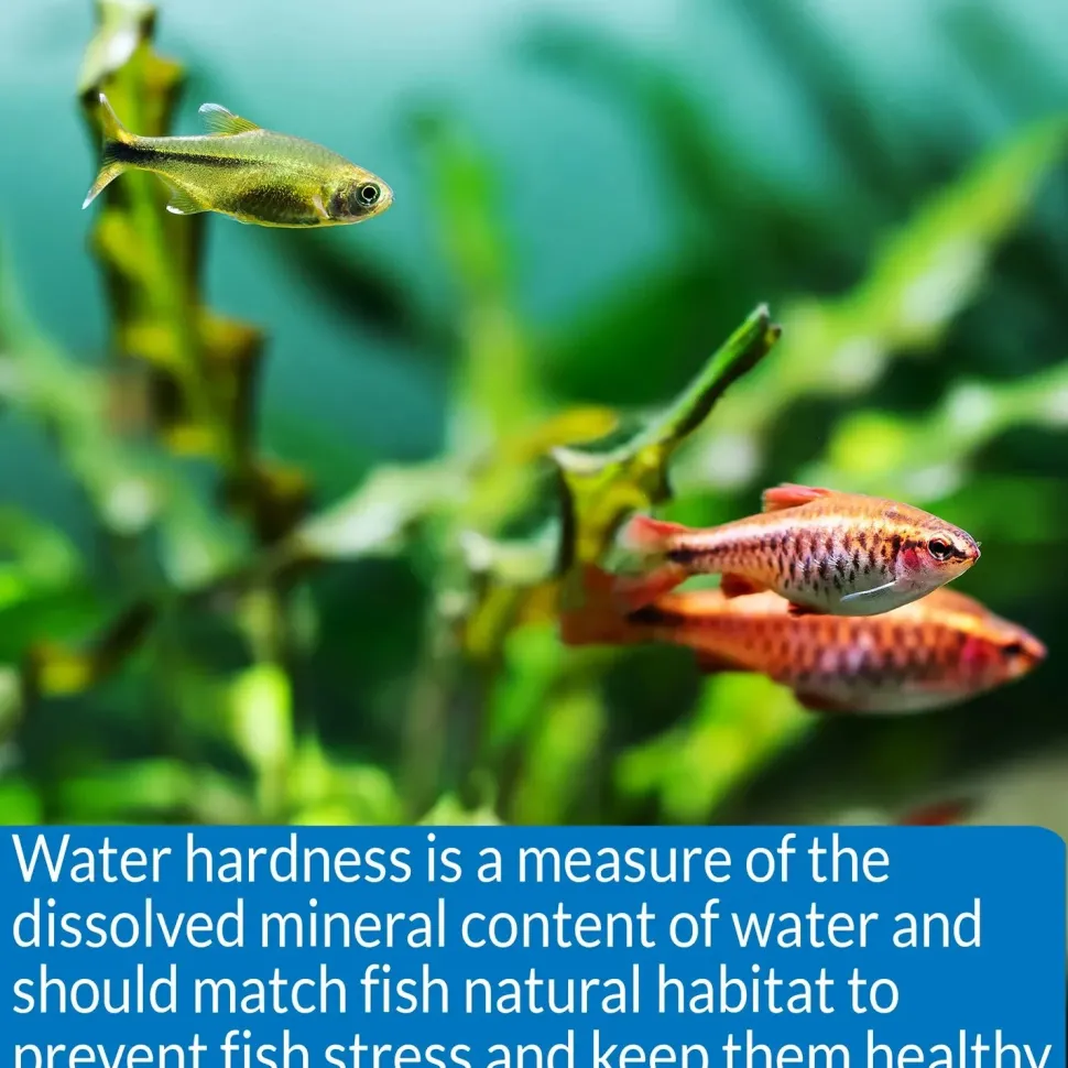 API KH Carbonate Hardness Test Kit for Freshwater & Saltwater Aquarium