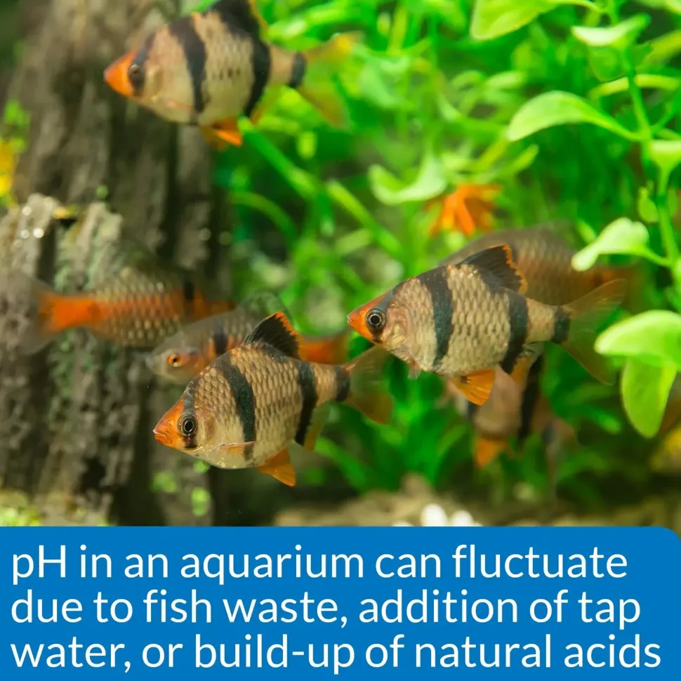 API pH Test & Adjuster Kit for Freshwater Aquarium