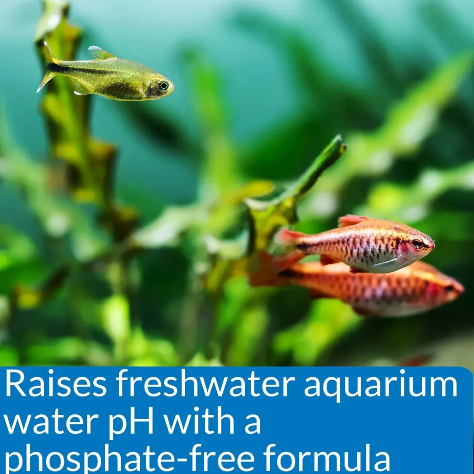 API pH Up Freshwater Aquarium Water Treatment 4-oz