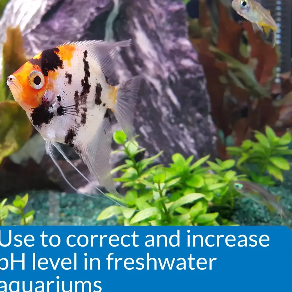 API pH Up Freshwater Aquarium Water Treatment 4-oz