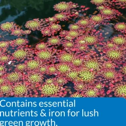 API Pond Aquatic Plant Food Tablets 25 Count