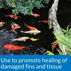 API Pond Melafix Anti-Bacterial Pond Fish Remedy 64-oz