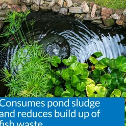 API Pond-Zyme Sludge Destroyer Pond Sludge Remover 1-lb