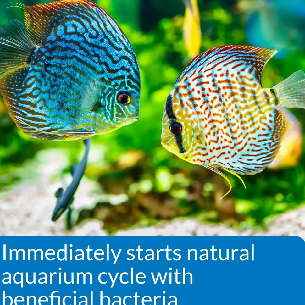 API Quick Start Aquarium Water Conditioner 4-oz