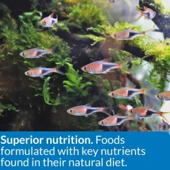 API Tropical Premium Flakes Fish Food 1.1-oz