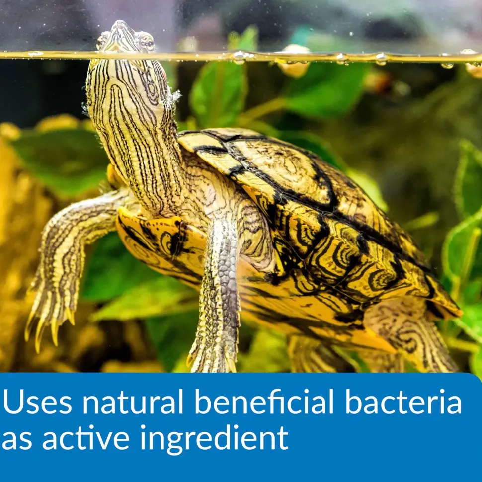 API Turtle Sludge Destroyer 4-oz