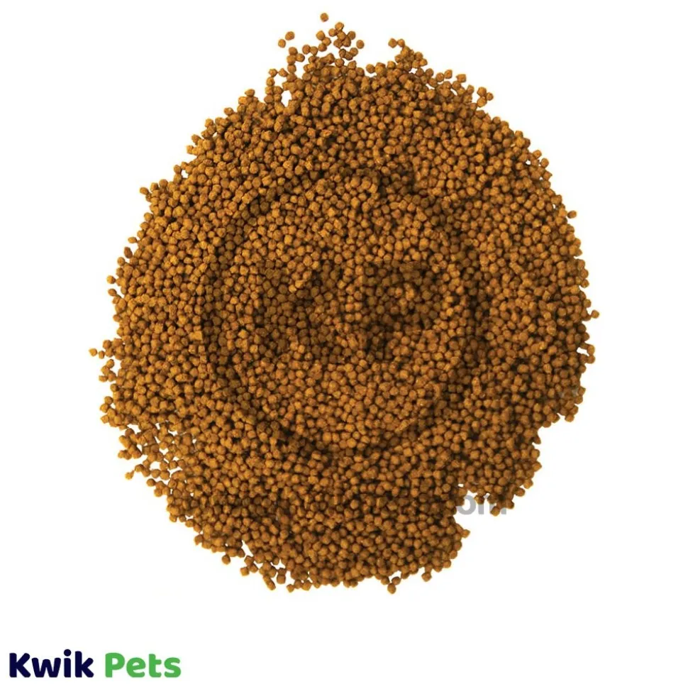 Aqueon Cichlid Pellet Fish Food Mini 4.5-oz