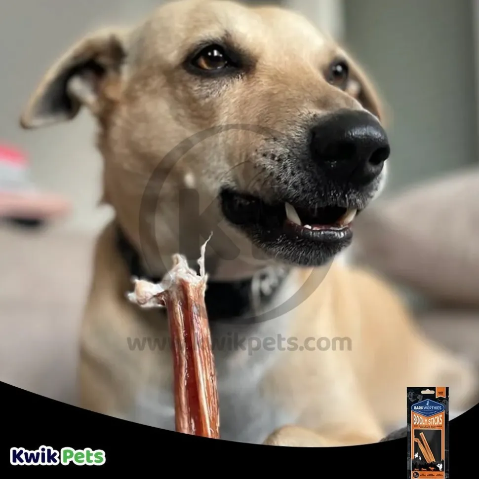 Barkworthies 4" Beef Booly Sticks Small Dog Chews 2 Count