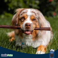 Barkworthies 6" Collagen Odor Free Beef Stick Dog Chew 3 Count 2-oz