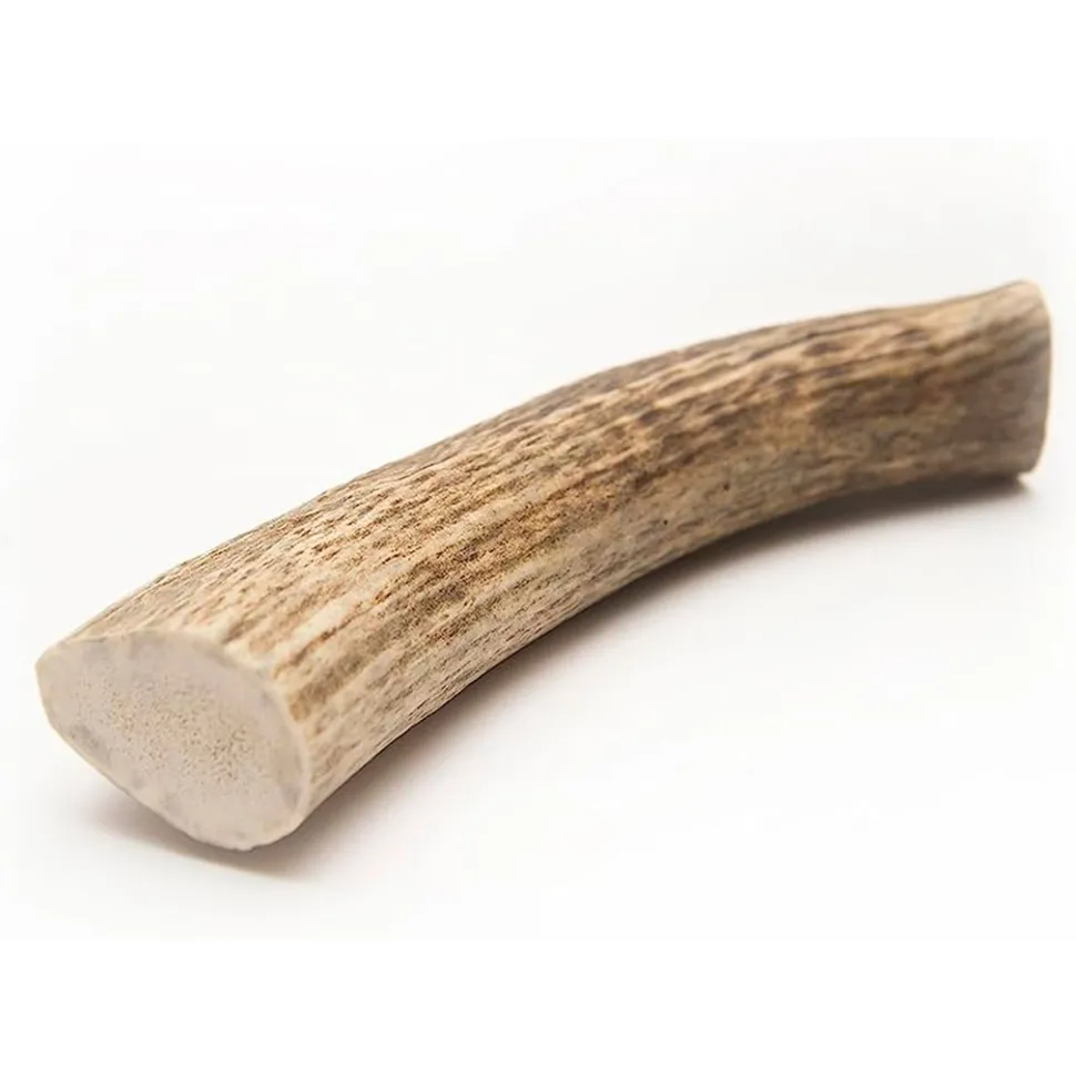 Barkworthies Whole Elk Antler Dog Chew for Large Breed Dogs