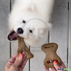 Benebone Dental Chew & Wishbone Dog Chew Toy Bacon Tiny 2 Count