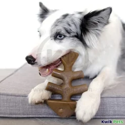 Benebone Jack Salmon Fishbone Dog Chew Toy Medium