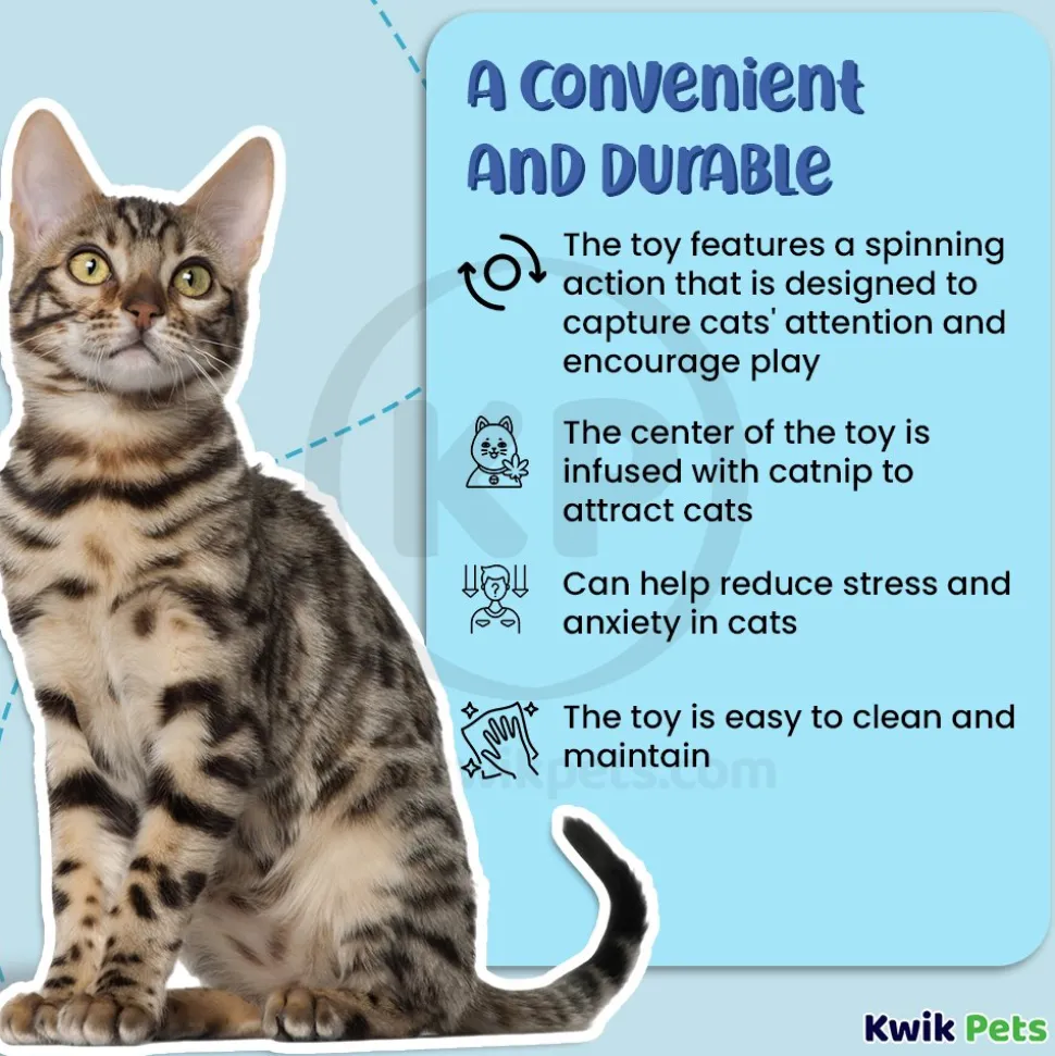 Bergan Catnip Cyclone Interactive Cat Toy