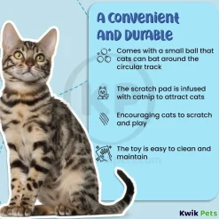 Bergan Turbo Scratcher Cat Toy Assorted