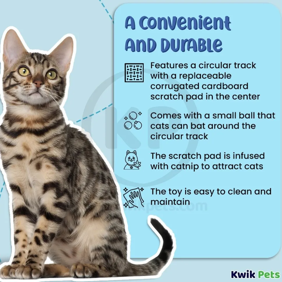 Bergan Turbo Track Cat Toy