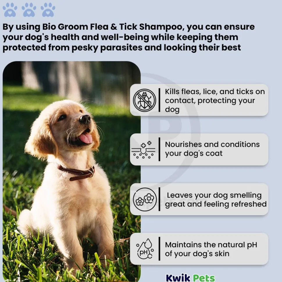 Bio-Groom Flea & Tick Dog Shampoo 12-oz