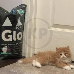 Boxiecat Glo Natural Attractions Clumping Corn Cat Litter 6.5-lb