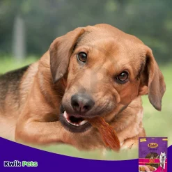 Cadet Gourmet Duck Jerky Dogs Treats 14-oz