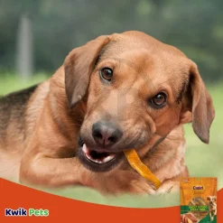 Cadet Gourmet Sweet Potato Steak Fries Dog Treats 1-lb