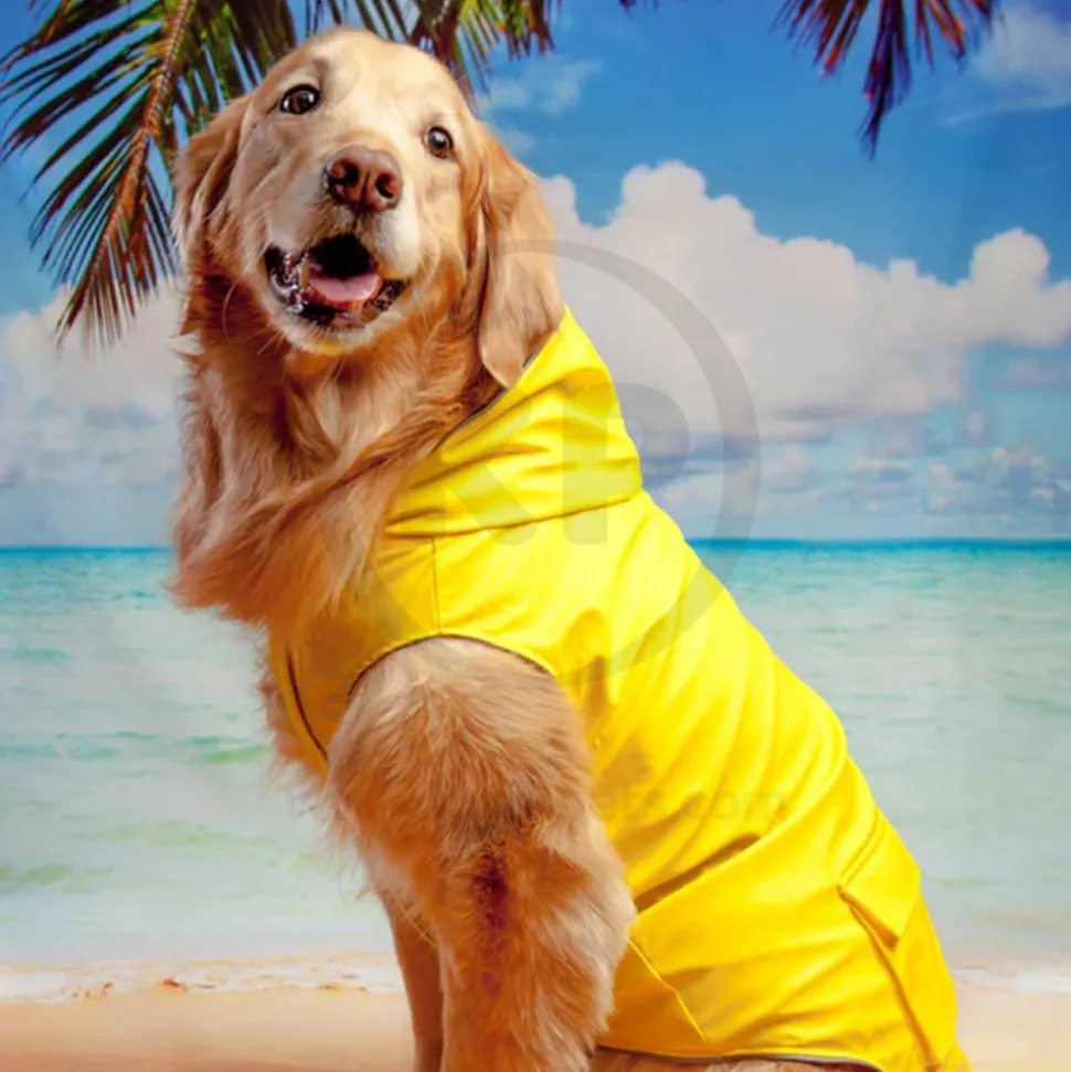 Canada Pooch Dog Torrential Tracker Yellow 16