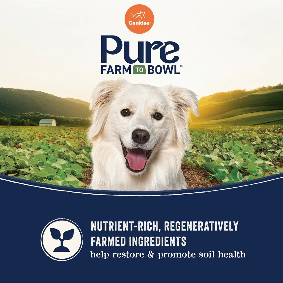 Canidae Pure Goodness Grain-Free Limited Ingredient Adult Dry Dog Food Real Chicken, Lentil & Potato Recipe 4-lb