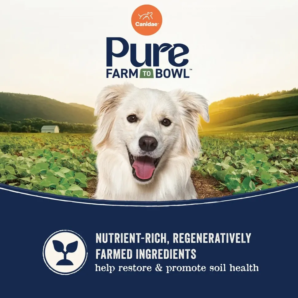 Canidae Pure Goodness Grain-Free Puppy Dry Food Real Salmon & Sweet Potato Recipe 4-lb