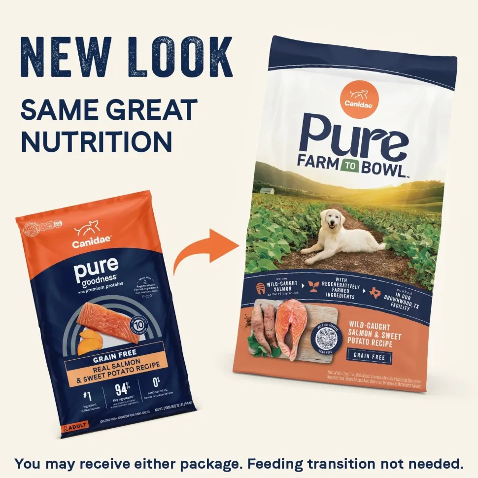 CANIDAE PURE Goodness Grain-Free Adult Dry Dog Food Real Salmon & Sweet Potato 4-lb