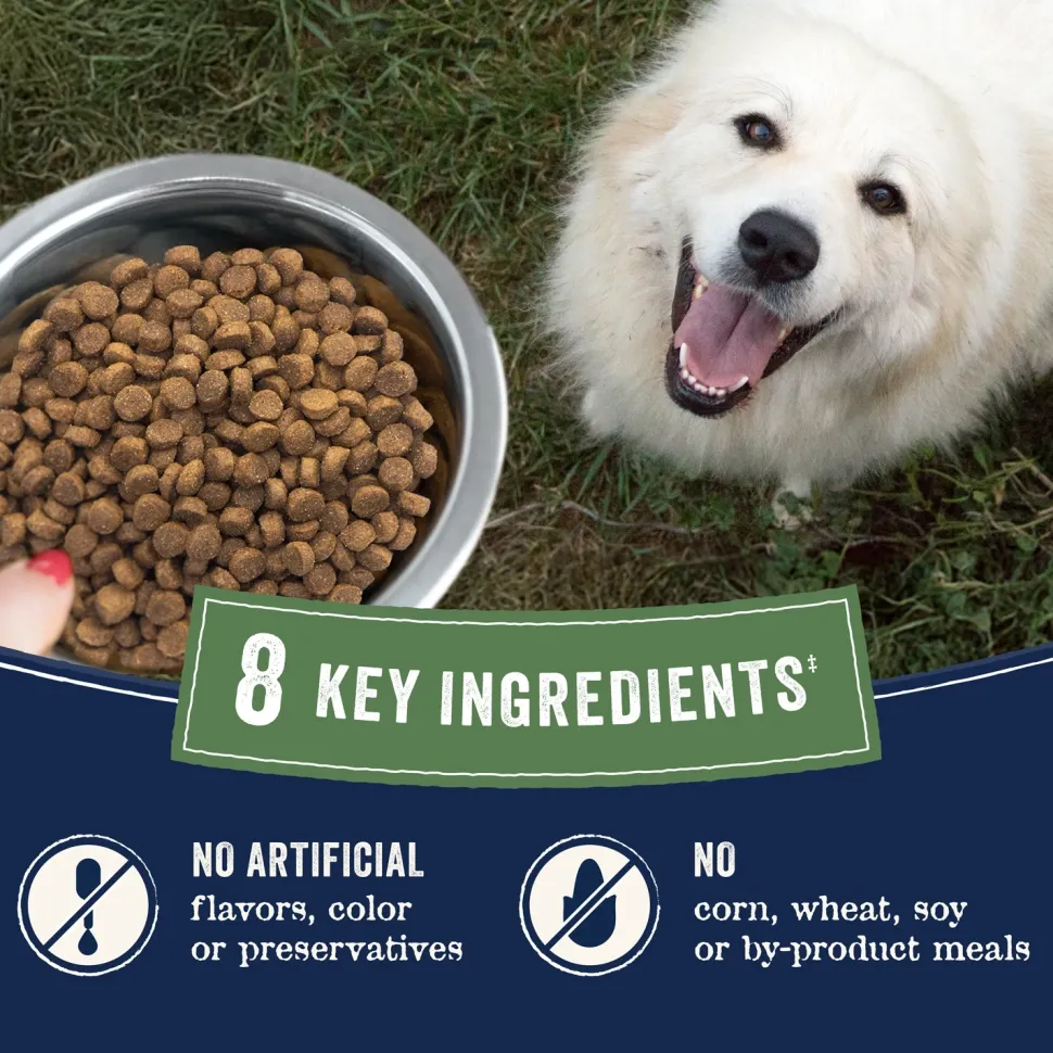 CANIDAE PURE Goodness Grain-Free Adult Dry Dog Food Real Salmon & Sweet Potato 4-lb