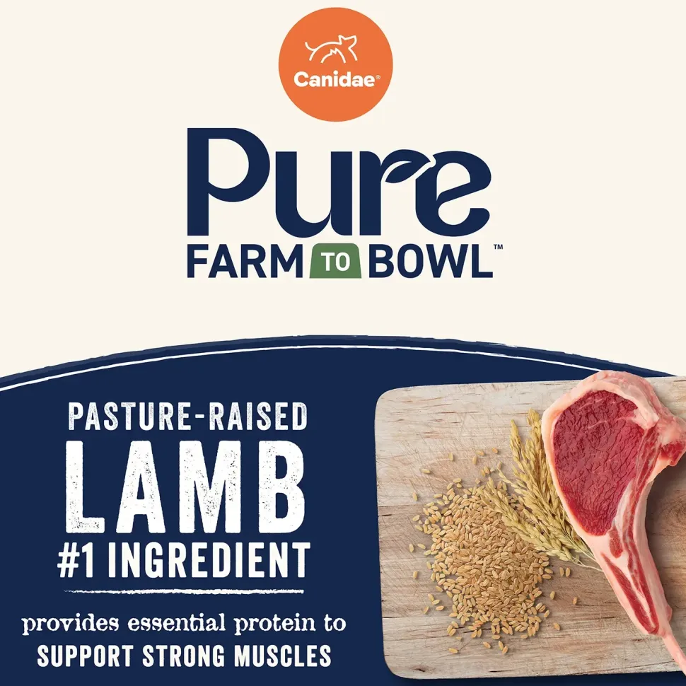 Canidae Pure Goodness Wholesome Grains Adult Dry Dog Food Real Lamb & Brown Rice Recipe 4-lb