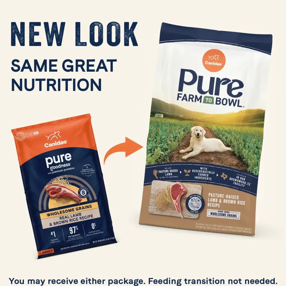 Canidae Pure Goodness Wholesome Grains Adult Dry Dog Food Real Lamb & Brown Rice Recipe 4-lb