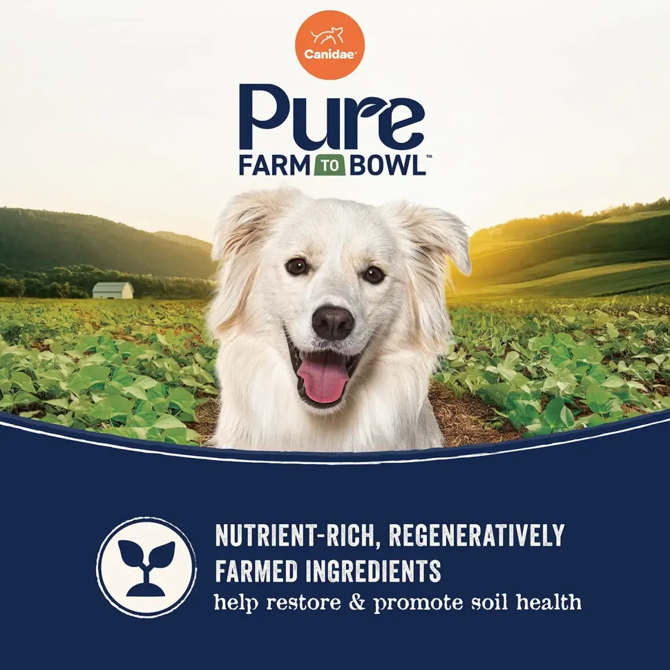 Canidae Pure Goodness Wholesome Grains Adult Dry Dog Food Real Salmon & Barley Recipe 4-lb