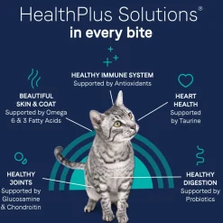 CANIDAE Pure Grain-Free Limited Ingredient Dry Cat Food Premium Recipe with Chicken 10-lb