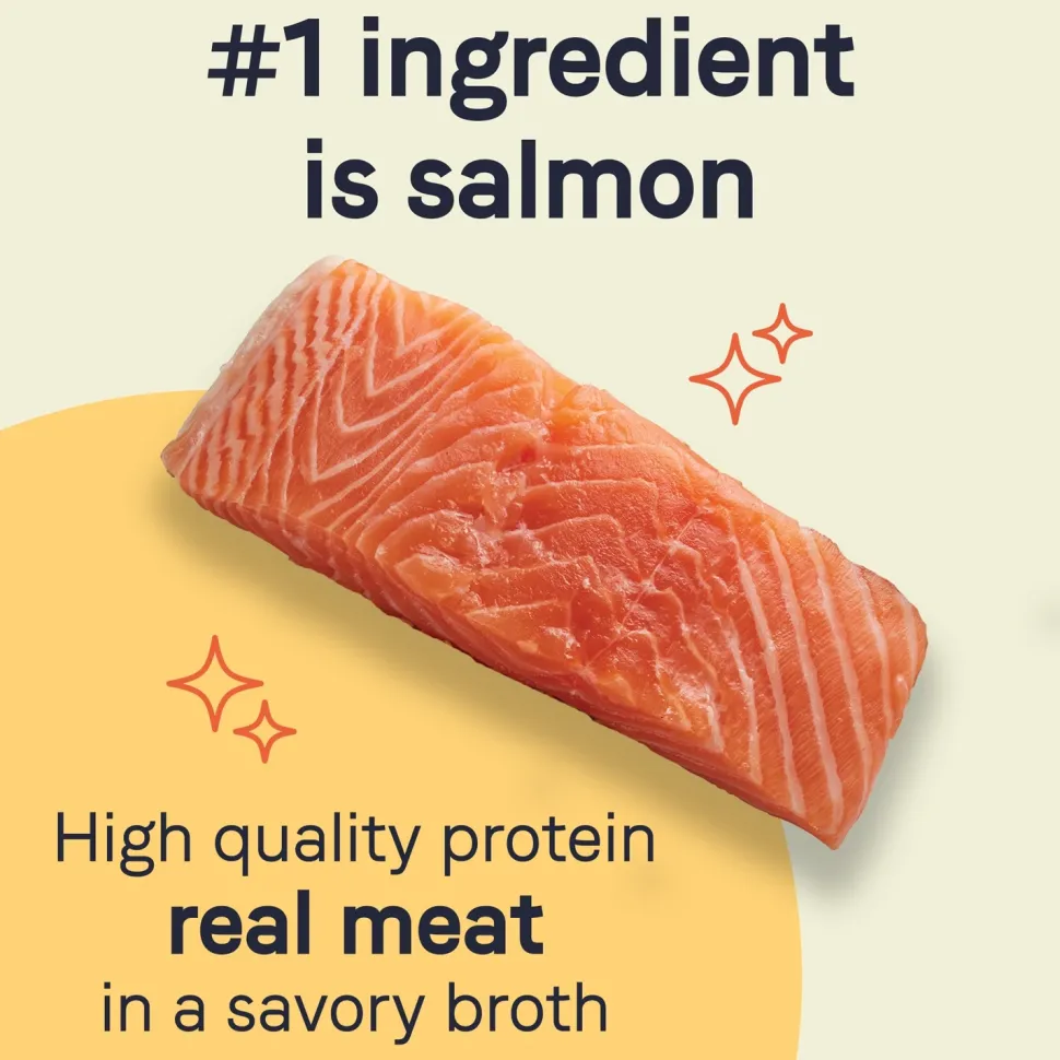 CANIDAE PURE Grain-Free Limited Ingredient Canned Dog Food Salmon & Sweet Potato 13-oz
