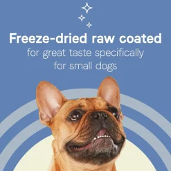 CANIDAE PURE Petite Goodness for Small Breed Freeze-Dried Raw Coated Adult Dry Dog Food Chicken 10-lb